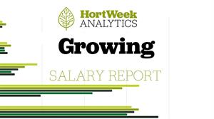 Growing salary report